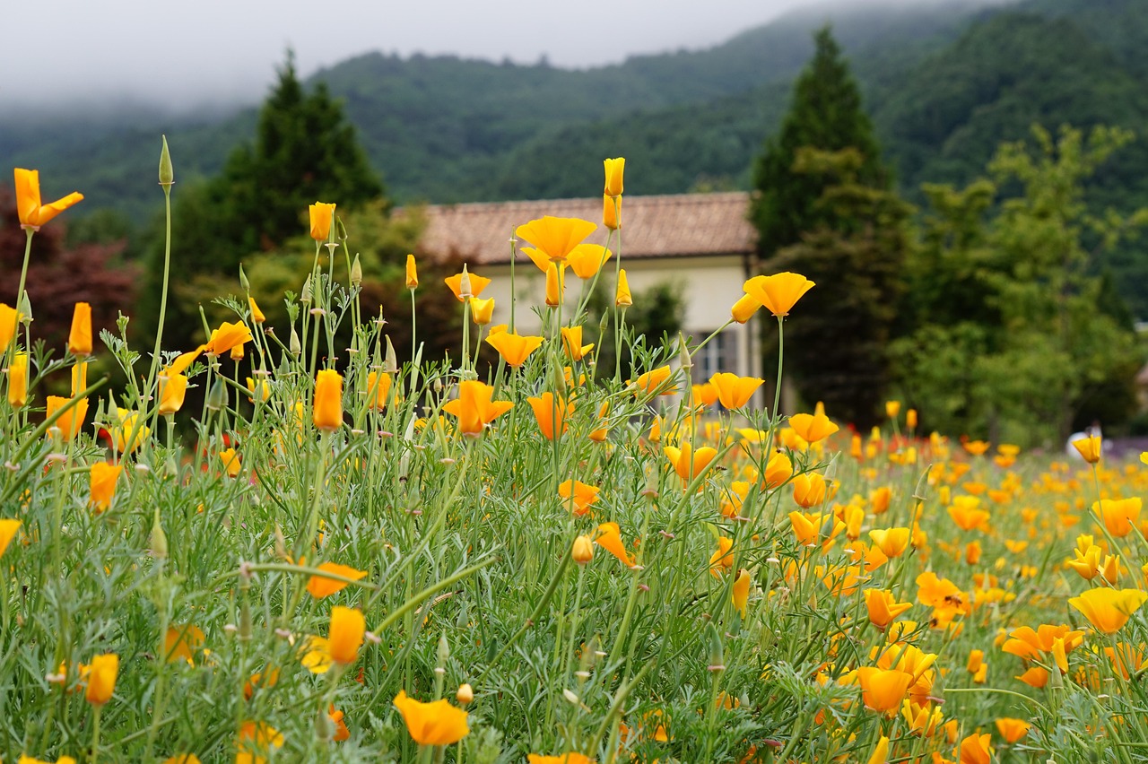 【程序搭建】TG人形机器人|PagerMaid-Pyro搭建星光剧场